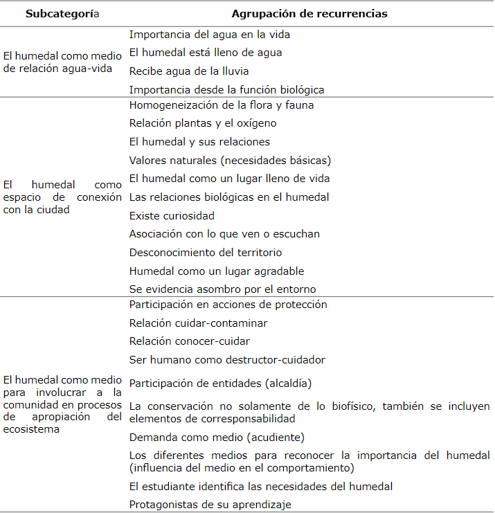 Subcategorías del análisis de datos recolectados a partir de la agrupación de recurrencias