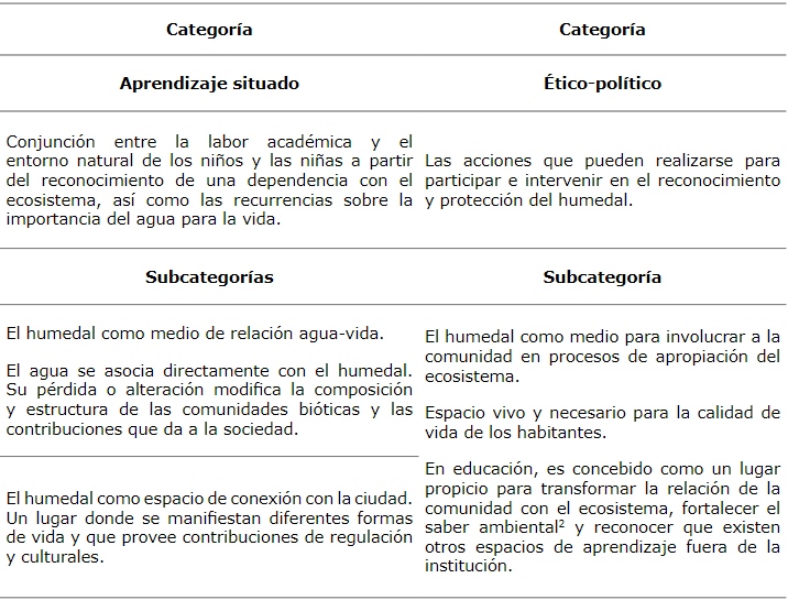 Consolidación de las categorías y agrupación de las subcategorías de análisis