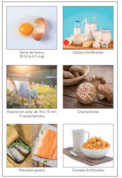 Fuentes de vitamina D. Tabla de visualización para 
simplificar el interrogatorio de pesquisa