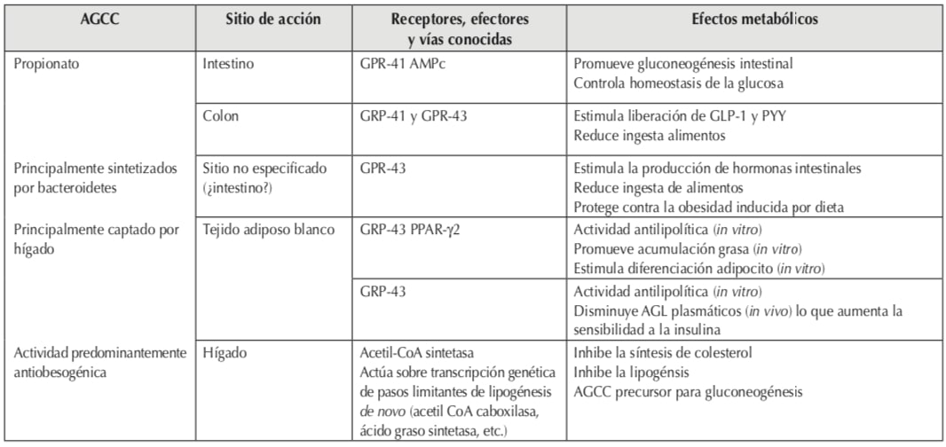 AGCC y
regulaci&oacute;n gen&eacute;tica del metabolismo.