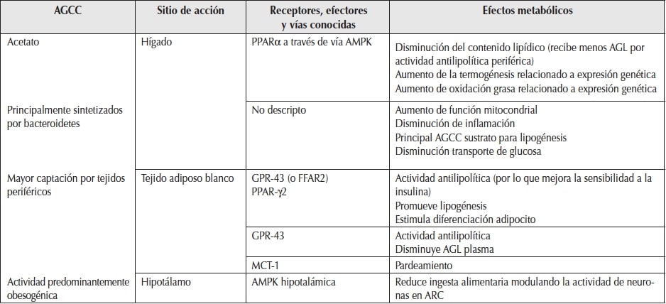 AGCC y
regulaci&oacute;n gen&eacute;tica del metabolismo.
