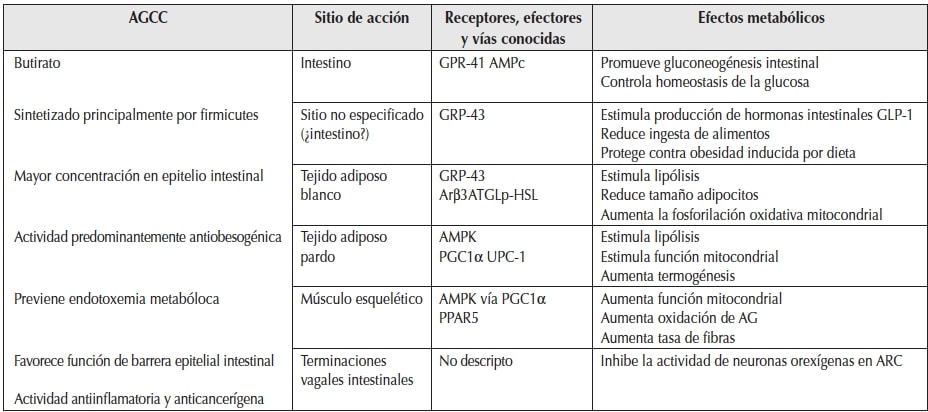 AGCC y
regulaci&oacute;n gen&eacute;tica del metabolismo.