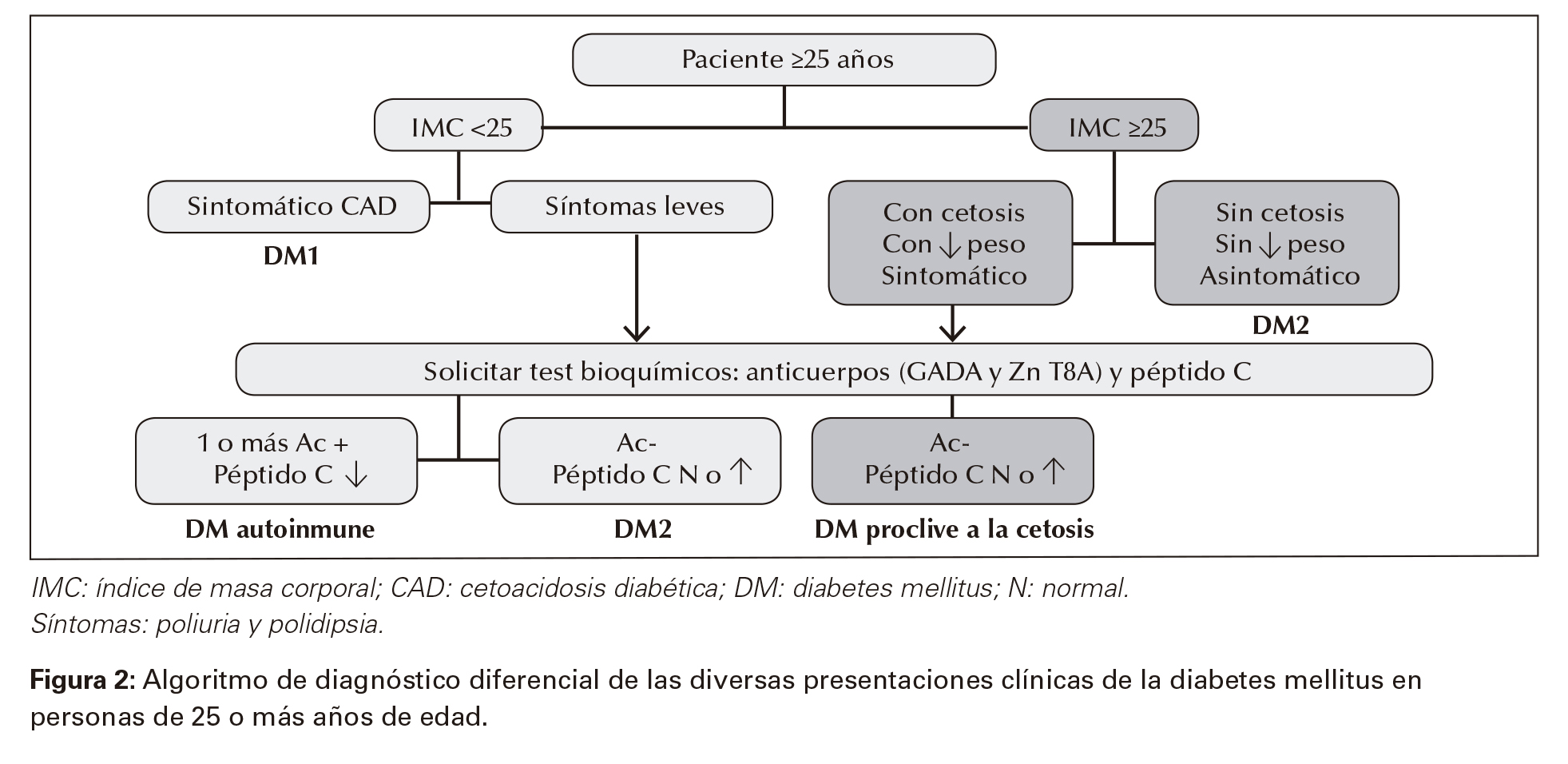 Algoritmo de diagnóstico diferencial de las diversas presentaciones clínicas de la diabetes mellitus en personas de 25 o más años de edad.