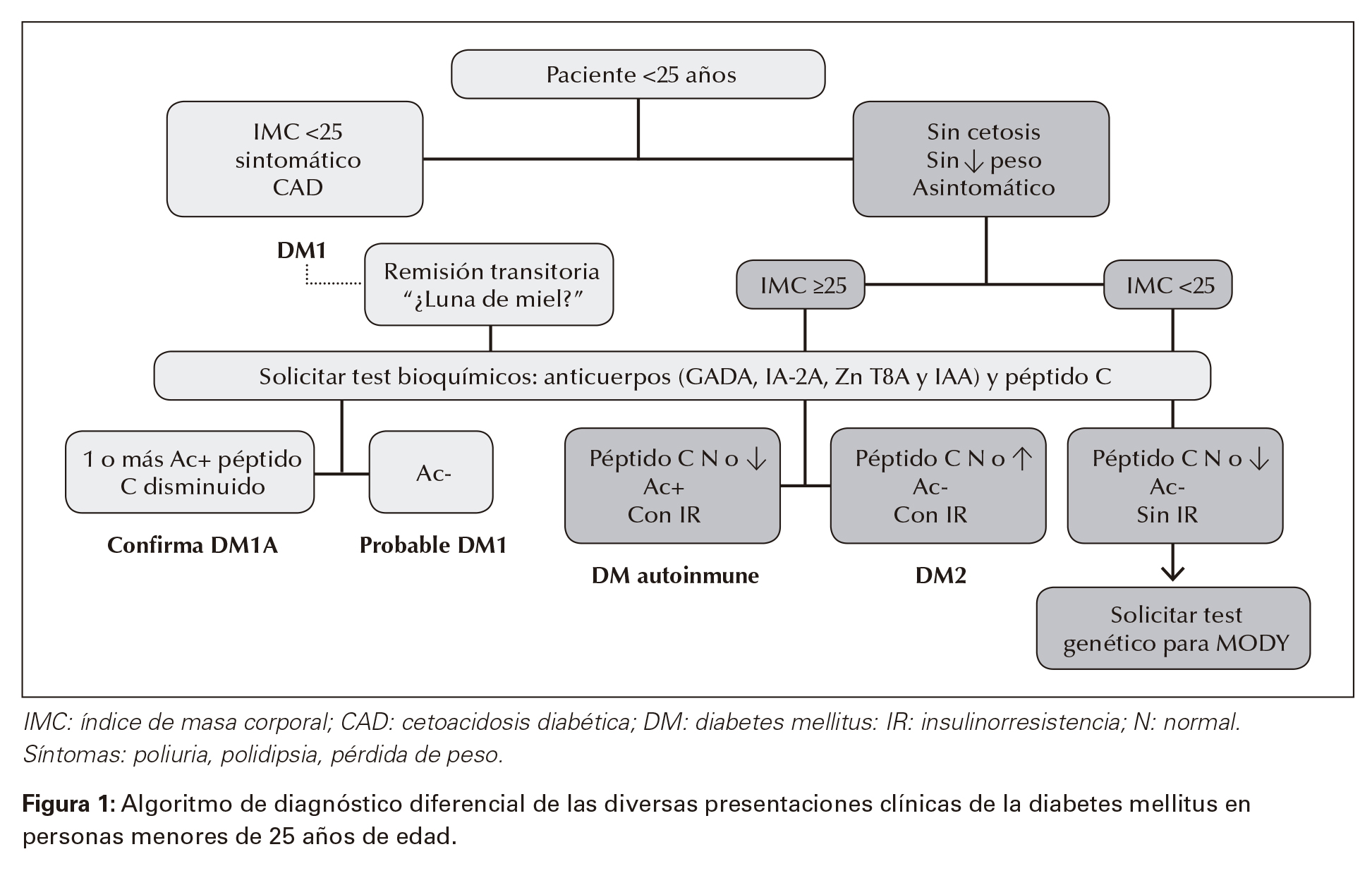 Algoritmo de diagnóstico diferencial de las diversas presentaciones clínicas de la diabetes mellitus en personas menores de 25 años de edad.