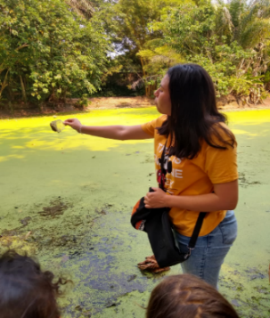 Lago Amazônico