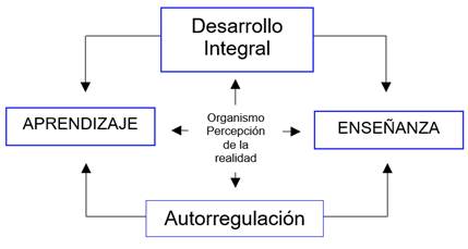 Esquema de procesamiento de la
información.