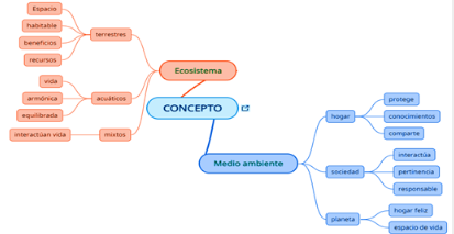 Subcategoría conceptos