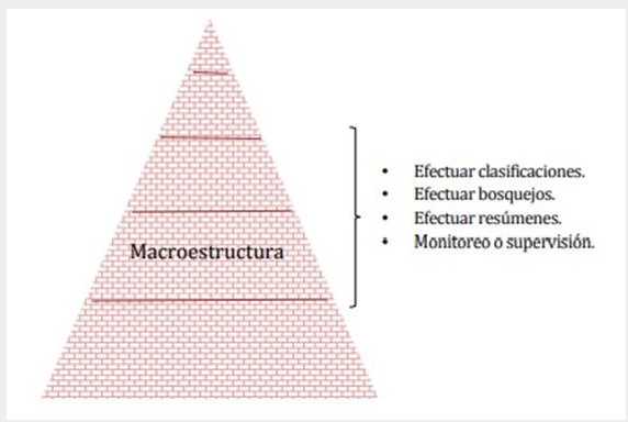 Estrategias de
comprensión lectora durante la lectura