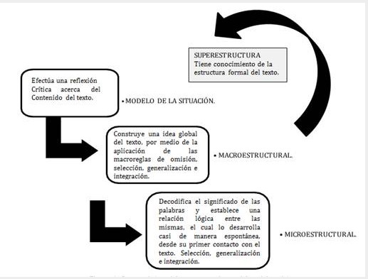 Características del componente lector del modelo teórico