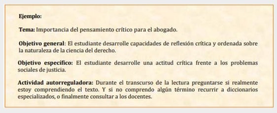 Monitoreo y supervisión de la lectura.