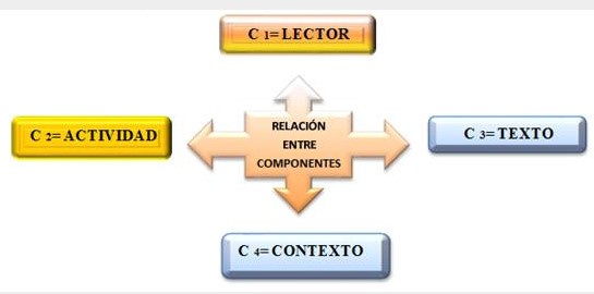Relación entre los
componentes del modelo teórico