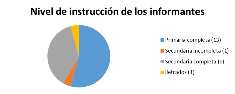 Niveles de instrucción de los informantes