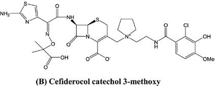 Estructura química de Cefiderocol que posee un grupo
catecol y metoxi