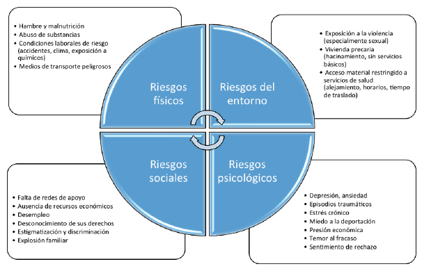  Interconexión entre los
factores de riesgo para la salud que enfrentan las personas migrantes en
tránsito irregular por México.