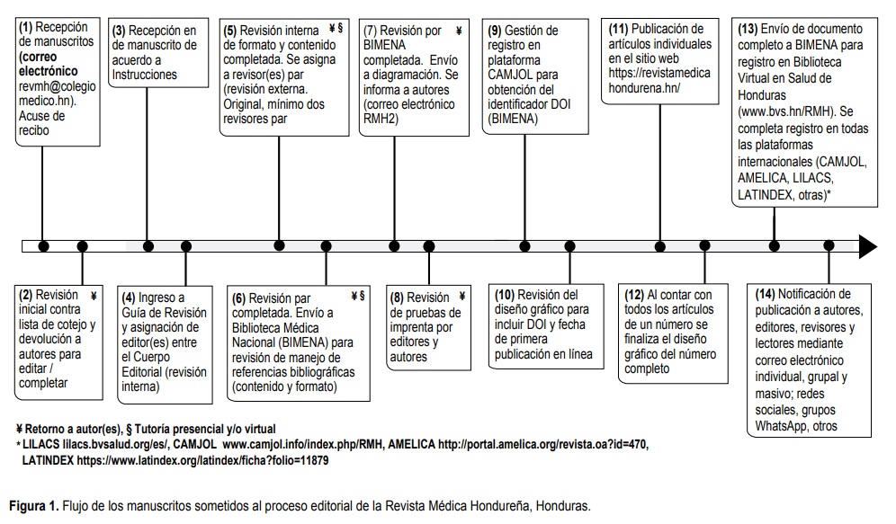Figura 1
