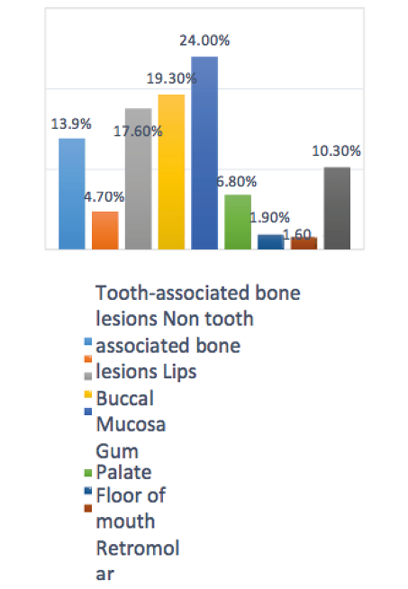 Distribution of the anatomical location.