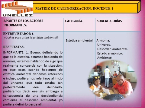 Matriz categorización docentes