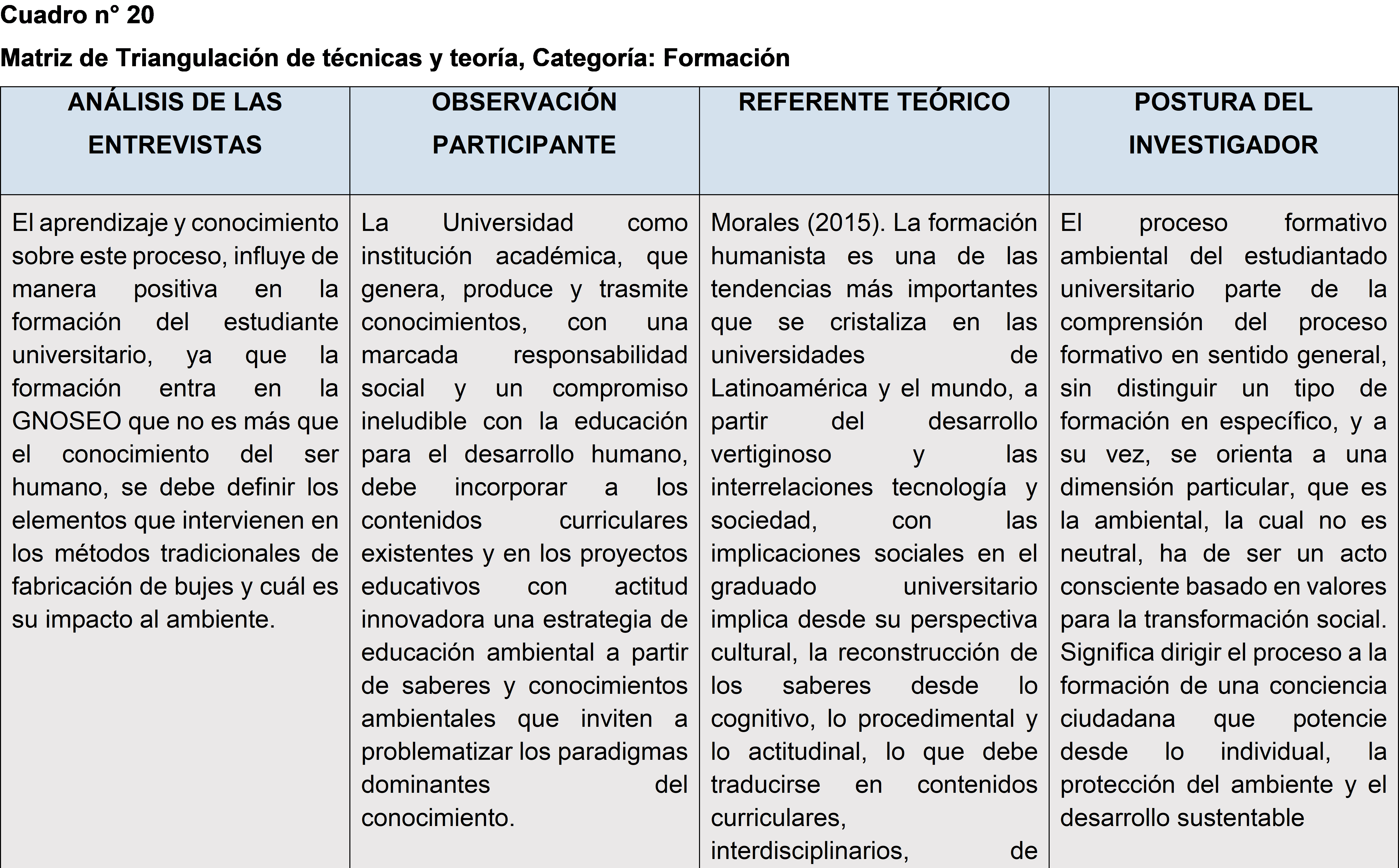 Matriz de triangulación de técnicas y teoría - Categoría: Formación