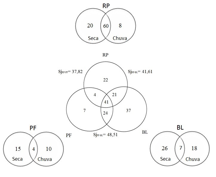 Figura 2.
Diagramas de Venn mostrando a similaridade das avifauanas dos locais estudados com os devidos valores de
similaridade de Jaccard (cento) e em cada local
estudado em relação às estações seca e chuvosa. RP = Parque Estadual do Rio
Preto; PF = Manancial APA Pau-de-Fruta; BL = Parque Estadual do Biribiri e Antigo depósito de lixo de Diamantina.