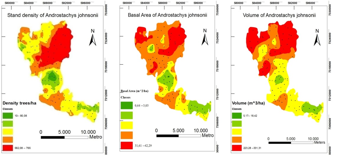 Figura 5. Mapas de
Krigagem das variáveis dendrométricas para a espécie A. Jonhsonii.