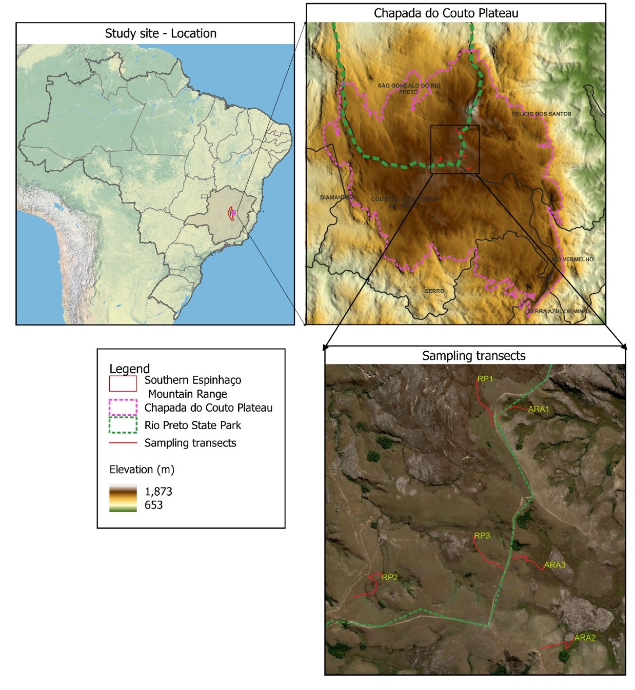 Figure 1. Location of the study site in the Chapada do Couto Plateau, along the eastern border of the
Southern Espinhaço Mountain Range, detailing the
location of the transects used for sampling plants and pollinators during the
field campaigns. RP: transects in the protected peatlands of Rio Preto and ARA:
transects in the unprotected peatlands of Araçuai.