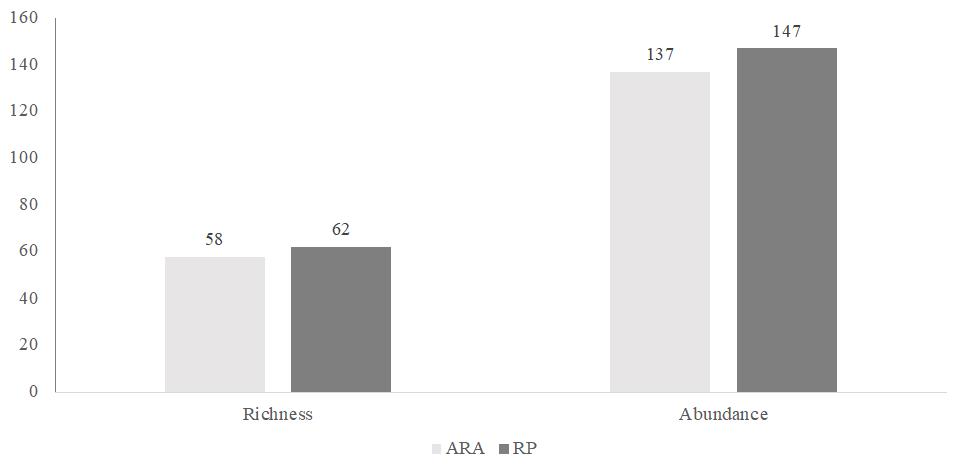 Figure 2. Pollinators richness and abundance in flowering plants in the
impacted peatlands of Araçuai Basin (ARA) and in the
protected peatlands of Rio Preto Basin (RP).
