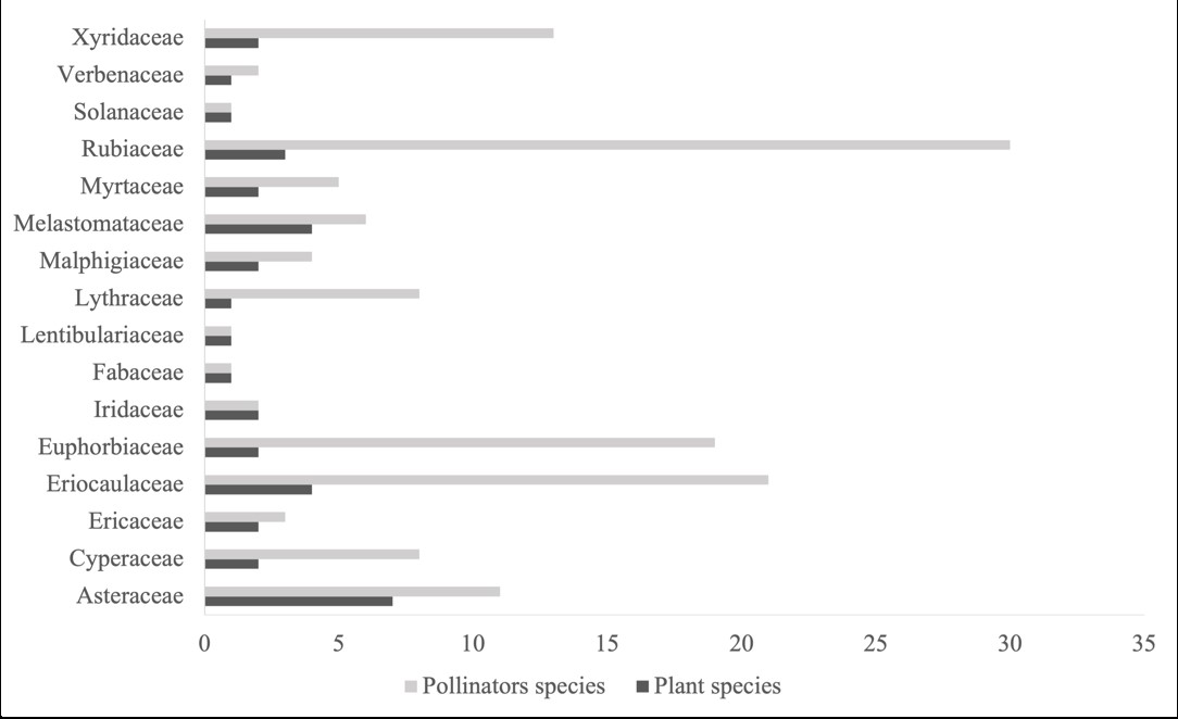 Figure 4. Richness of plant species by family and richness of
pollinators species in each plant family in the protected sites of the Rio
Preto Basin (RP) and in the unprotected sites of the Araçuai
Basin (ARA).