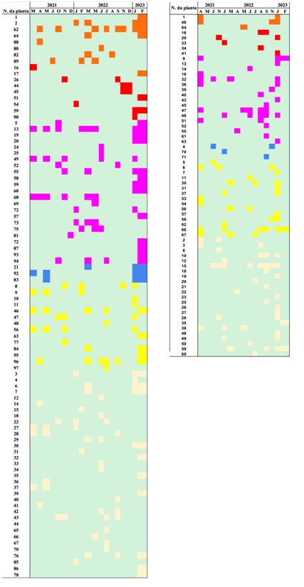 Figura 5. Fenograma de cores das plantas floridas nos campos
limpos ao longo dos meses de observação no interior do Parque Estadual do Rio
Preto (RP – esquerdo) e fora da Unidade de Conservação na Bacia do Rio Araçuaí
(ARA – direito), na Reserva da Biosfera da Serra do Espinhaço (RBSE). Onde: os
números representam as espécies identificadas (Tabela 1 e 2 – Material Suplementar).