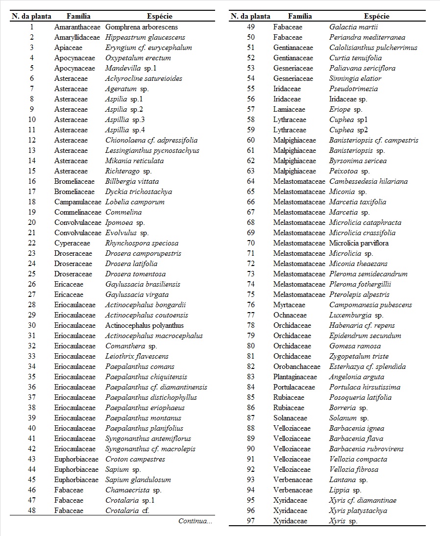 Tabela 1. Lista das espécies de plantas registradas no
interior do Parque Estadual do Rio Preto (RP), na Reserva da Biosfera da Serra
do Espinhaço (RBSE).