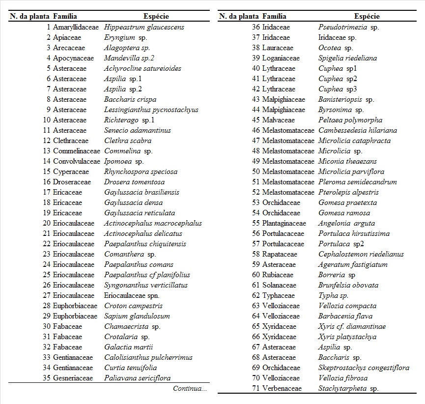 Tabela 2. Lista das espécies de plantas registradas fora da
Unidade de Conservação na Bacia do Rio Araçuaí (ARA), na Reserva da Biosfera da
Serra do Espinhaço (RBSE).