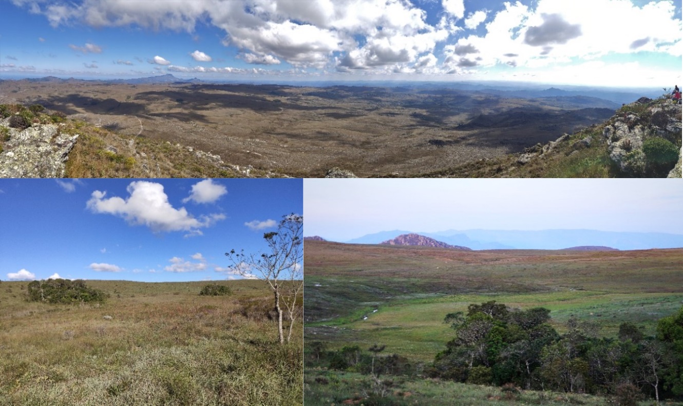 Figura 2. Acima: superfície de aplainamento da
Chapada do Couto, vista a partir de seu ponto culminante, no Morro Dois Irmãos
(1.830 m). Esquerda: bacia hidrográfica experimental protegida (RP), localizada
dentro do Parque Estadual do Rio Preto. Direita: bacia hidrográfica antropizada
(ARA). Notar vegetação predominante de campo limpo (campo limpo úmido nas
turfeiras e campo limpo seco nas vertentes), com ocorrência de fragmentos de
Floresta Estacional Semidecidual (capões de mata).