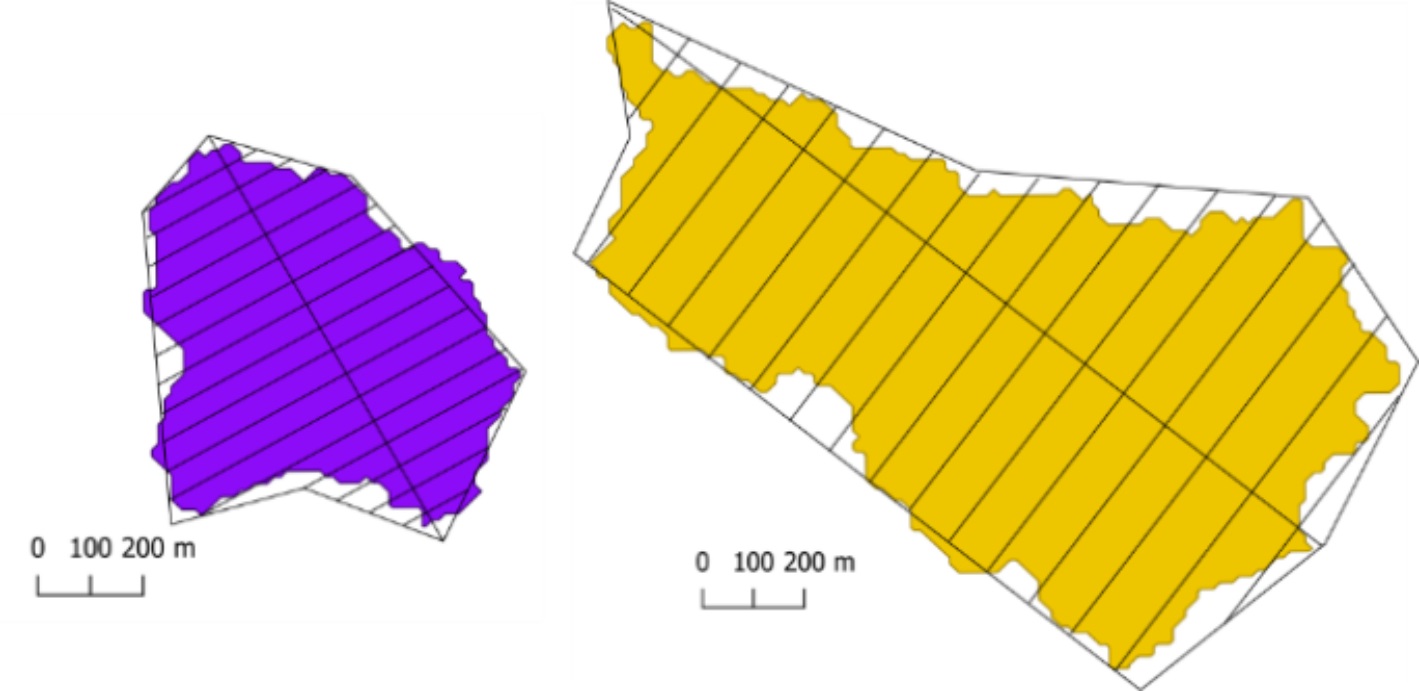 Figura 3. Determinação do comprimento axial e
largura média das bacias RP (esquerda) e ARA (direita).