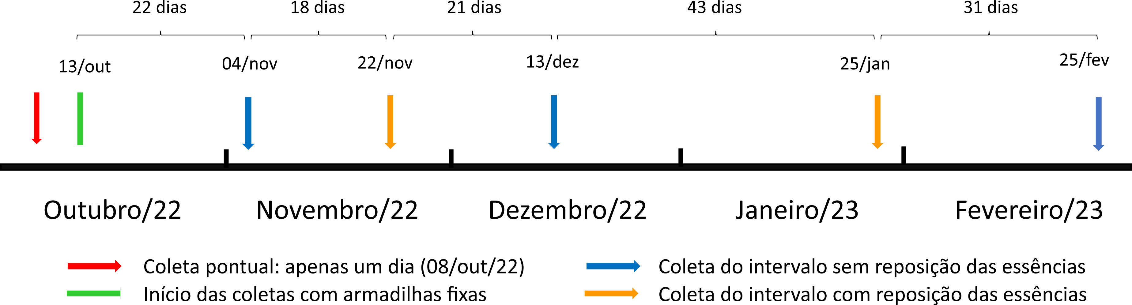 Figura 2. Delineamento
experimental para amostragem de abelhas de orquídeas durante o período chuvoso
(outubro de 2022 a fevereiro de 2023) em área de turfeira de altitude no Parque
Estadual do Rio Preto, Minas Gerais.