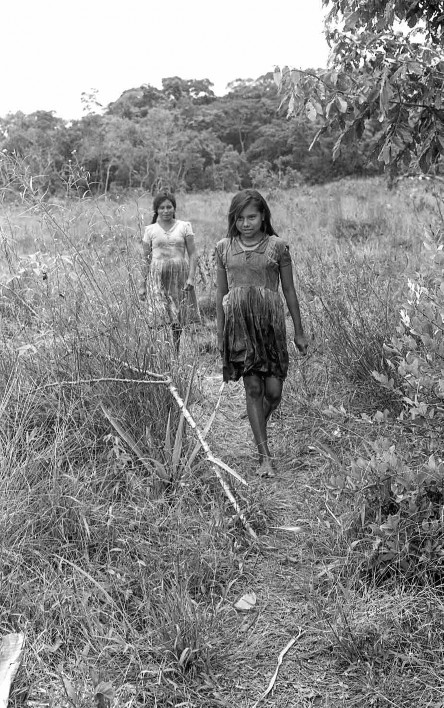 Planas (1971