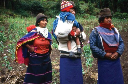 Amapola: la flor maldita (1994-1998).