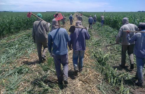 Trabajadores migrantes quichuistas
