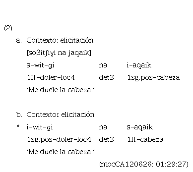 Visor Redalyc - Relaciones flexibles en mocoví (guaycurú): morfología y  léxico