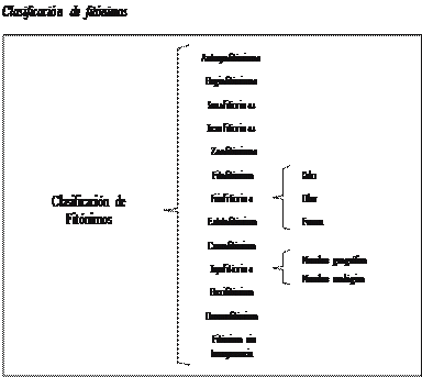 Clasificación de fitónimos
