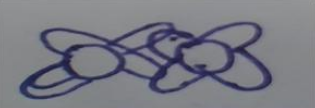 Dibujo
del estudiante P16.