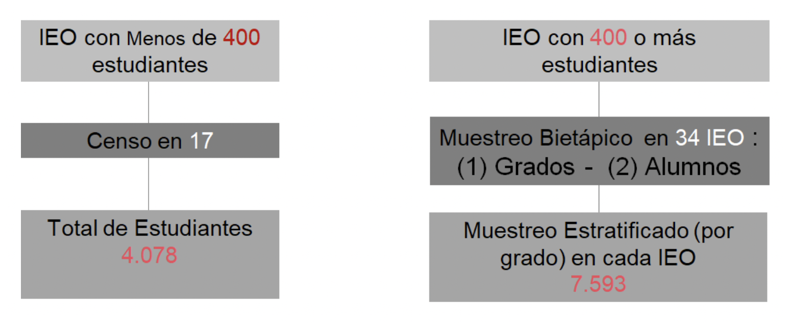 Distribución de la muestra