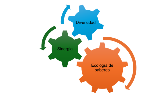 La sinergia agroecológica promotora de la diversidad y de la ecología de saberes.