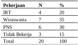 Distribusi frekuensi pekerjaan responden