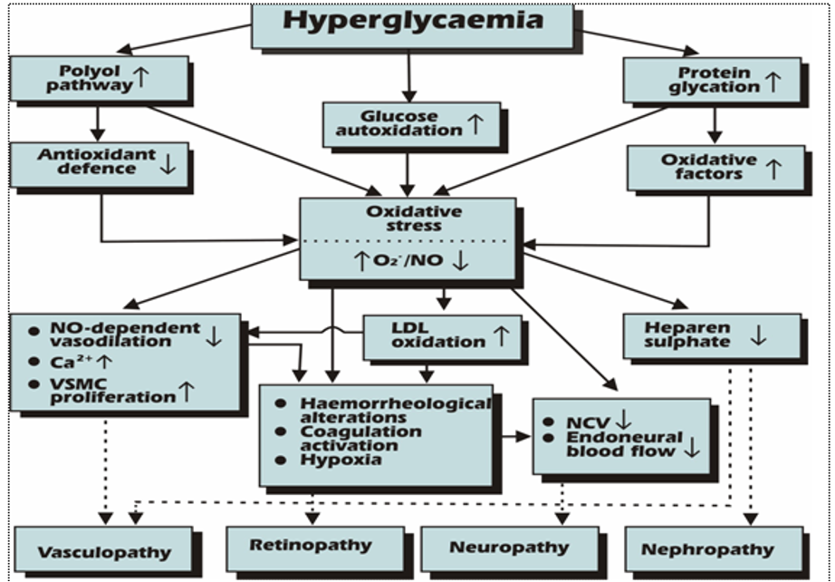 Skema Kaitan antara Stress Oksidatif yang diinduksi oleh Hiperglikemia dan Komplikasi Vaskuler DM (Giugliano et al., 1996).