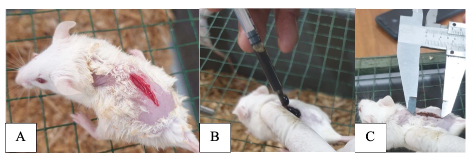 Perlakuan Hewan Coba