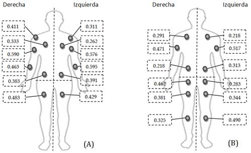 Correlación entre
la calidad muscular por sección (Skulpt Chisel) y el porcentaje de masa
muscular segmental (InBody 120) anterior (A) y posterior (B).