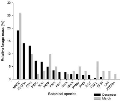 Relative forage mass of
the main species: Mnesithea selloana
(MNSE), Vulpia sp. (VULPIA), Steinchisma hians (STHI), Piptochaetium montevidense (PIMO), Eleocharis viridans
(ELVI), Axonopus affinis
(AXAF), Paspalum indecorum (PAIN), Piptochaetium
stipoides (PIST), Dichantelium sabulorum
(DISA), Setaria vaginata
(SEVA), Paspalum notatum (PANO), Paspalum dilatatum
(PADI), Richardia stellaris (RIST), Paspalum plicatulum
(PAPL), Sporobolus indicus (SPIN), Lippia villafloridana (LIVI), and Ayenia
sp. (AYENIA)