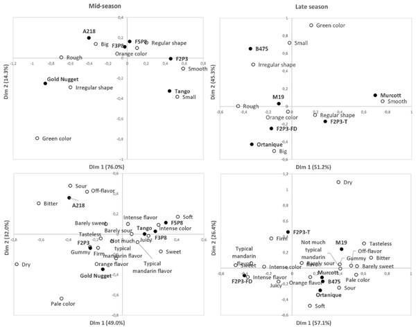 Representation of
mandarin samples and terms in the first two dimensions of the correspondence
analysis performed on the frequency table obtained from consumer responses to
the check-all-that-apply (CATA) question for the evaluation of external
appearance (top) and tasting (bottom) in the studies conducted in the
mid-season (left) and late season (right)
