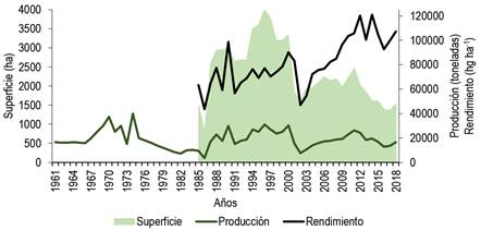 Superficie, producción y rendimiento anual de duraznos y nectarinas en Uruguay