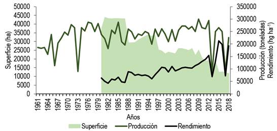 Superficie, producción y rendimiento
anual de druraznos y nectarinas en Argentina