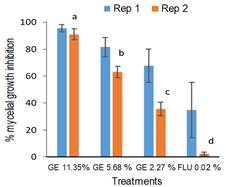 In
vitro growth inhibition produced by 1 mL of aqueous garlic extract (ge) placed
under Monilinia fructicola
strain 345 colony